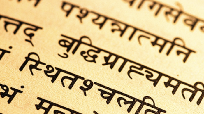 संस्कृत भाषेचा अभिमान वाटणारी किमया..