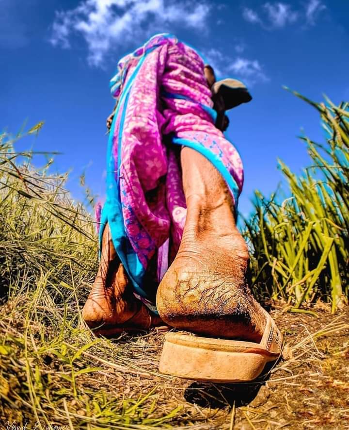 २४.१२ आजचा विचार