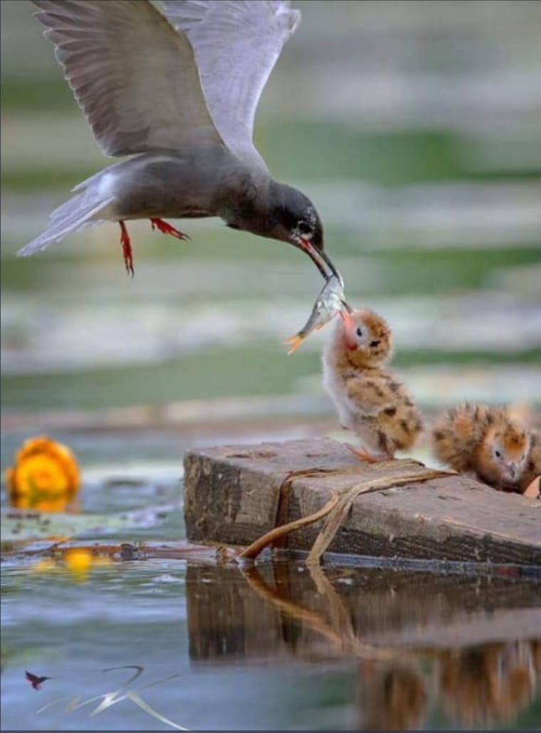 १२.०२ आजचा विचार