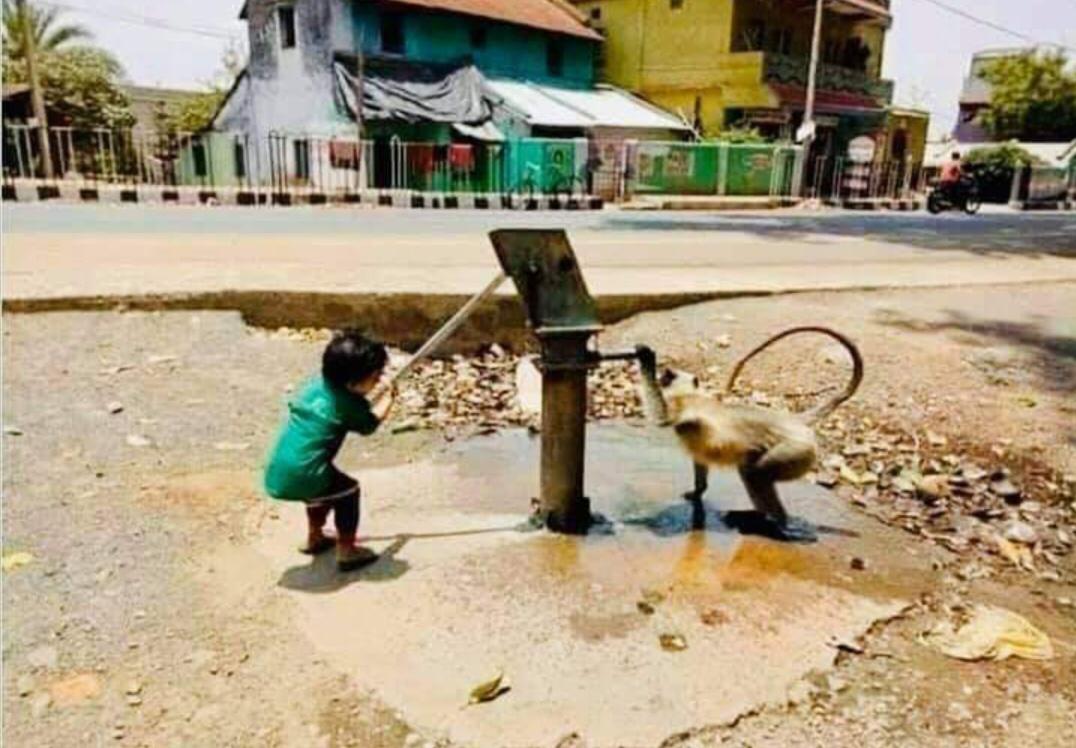 ०४.०२ आजचा विचार