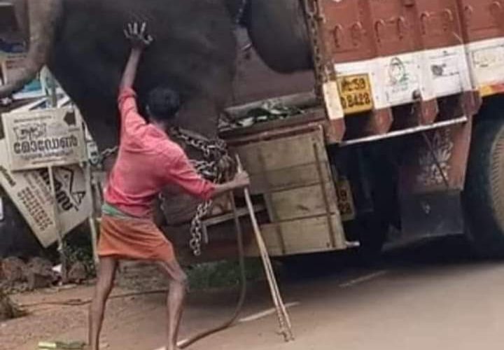 सकारात्मकता