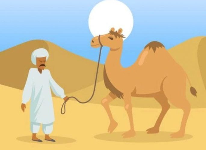 दोन हिरे