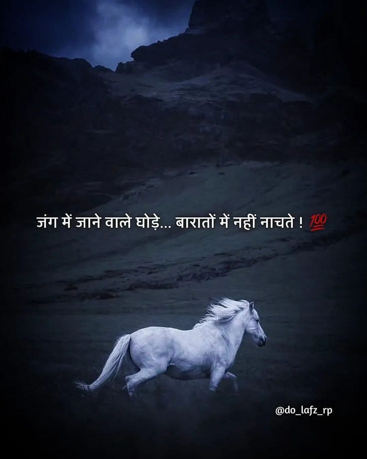 जंग में जाने वाले घोड़े… बारातों में नहीं नाचते